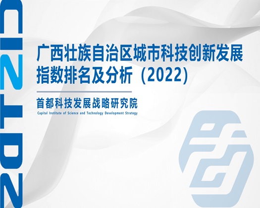 软妹子被操逼【成果发布】广西壮族自治区城市科技创新发展指数排名及分析（2022）